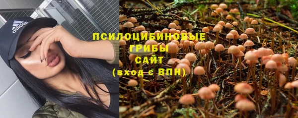 ГАЛЛЮЦИНОГЕННЫЕ ГРИБЫ Алексеевка