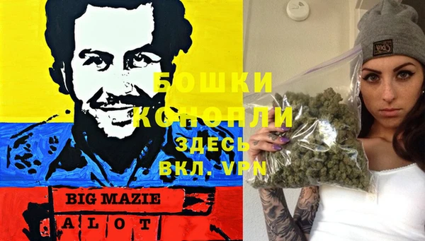 мет Алексин