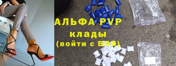 мет Алексин