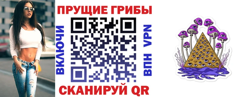 купить наркоту  Ревда  Псилоцибиновые грибы Magic Shrooms 